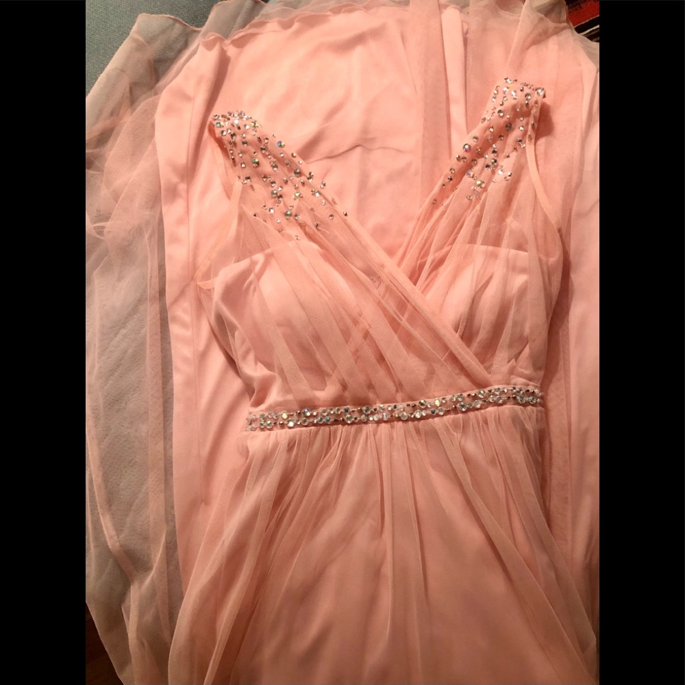 Floor length sleeveless sheer pale pink gown with sheer overlay
